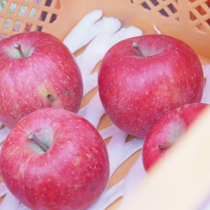 彩有機肥料を使ったりんご