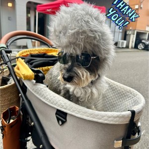 569855266_1566856330972775_5890532932427470409_n