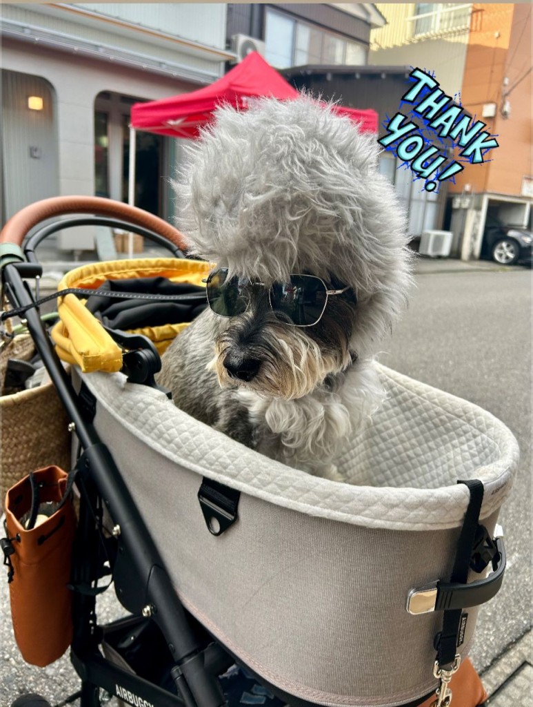 569855266_1566856330972775_5890532932427470409_n