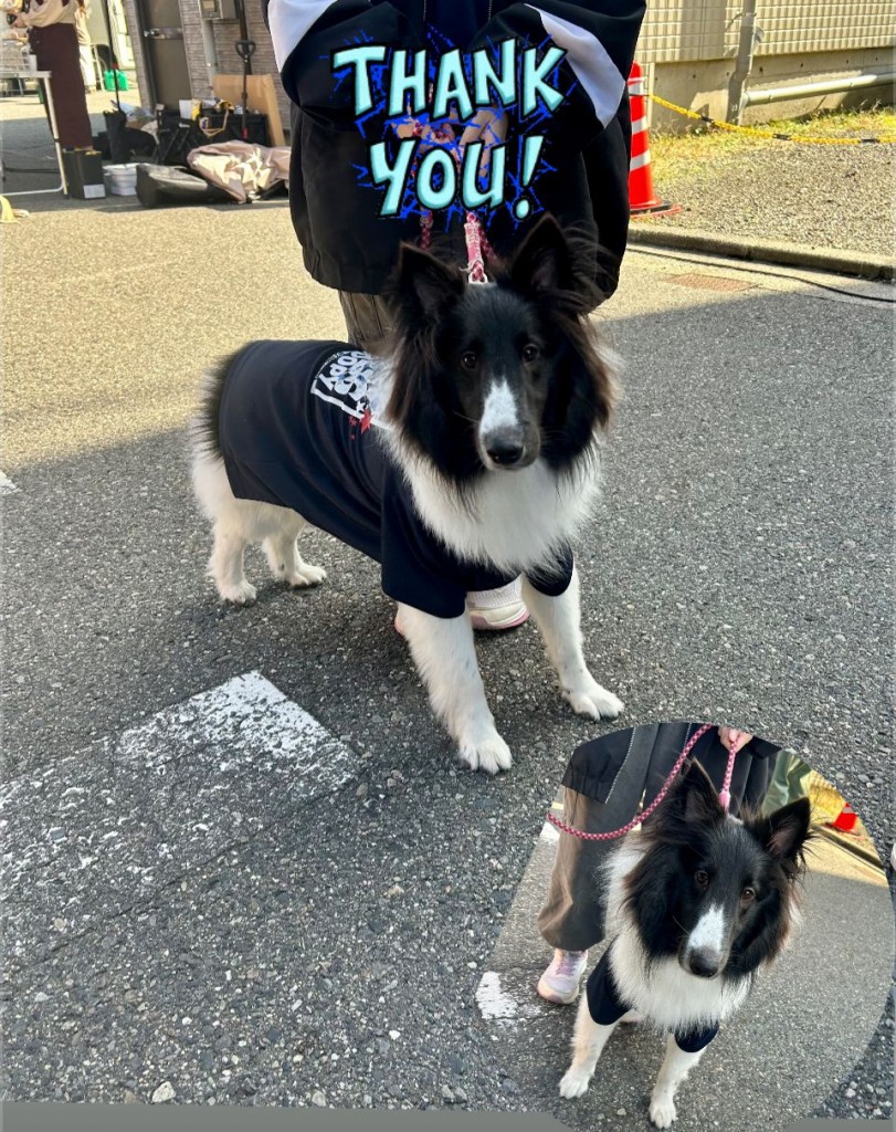 569926481_762454420145668_7606683103866604415_n