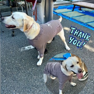 570086260_1475448040237768_1174694125172297591_n