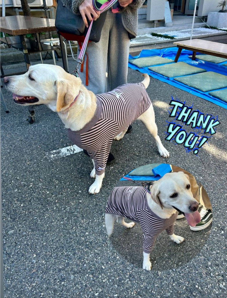 570086260_1475448040237768_1174694125172297591_n