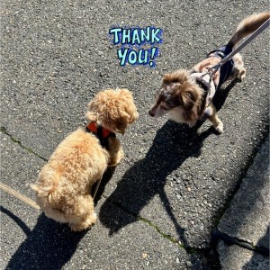 573556167_2734486040055238_4484533851467530309_n