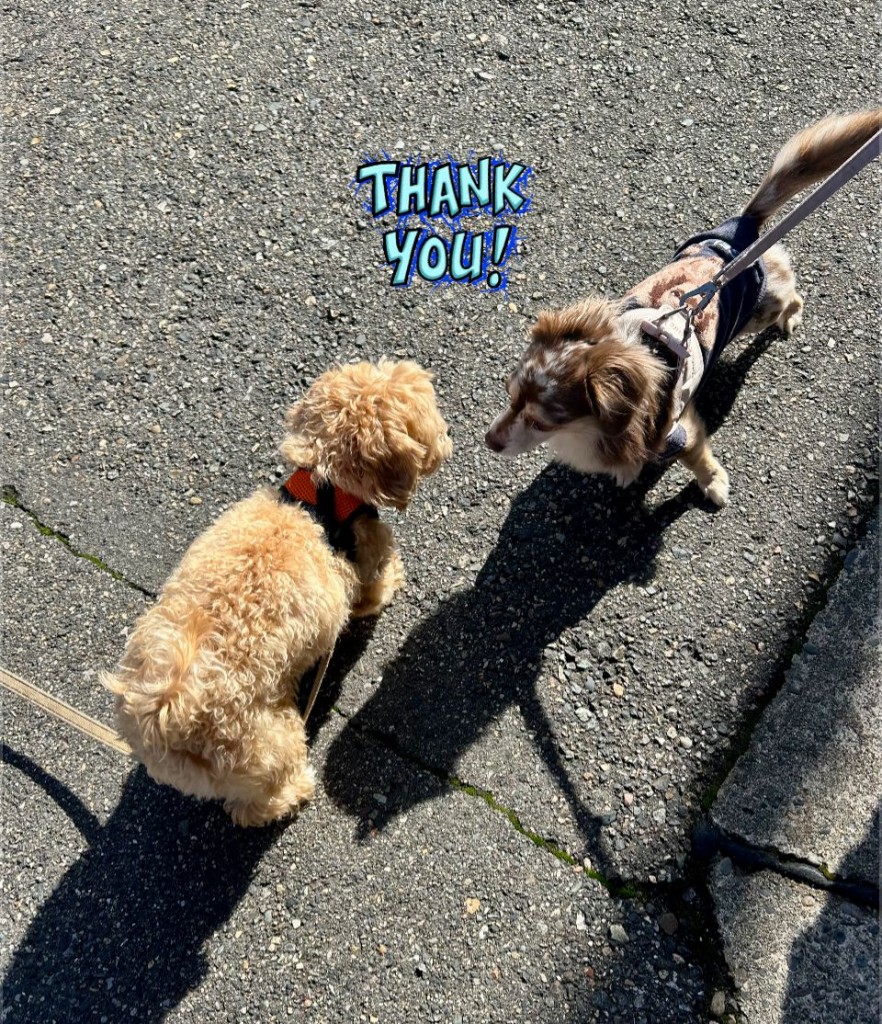 573556167_2734486040055238_4484533851467530309_n