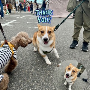 573641539_686770210773270_9049320073888837605_n