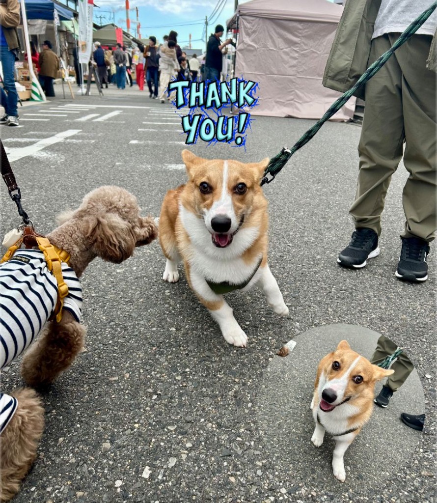 573641539_686770210773270_9049320073888837605_n