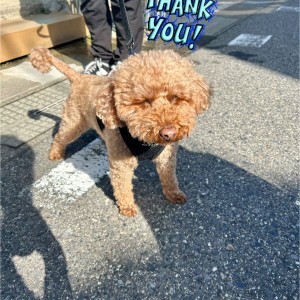 573656438_2158965614511860_6096827782768462045_n