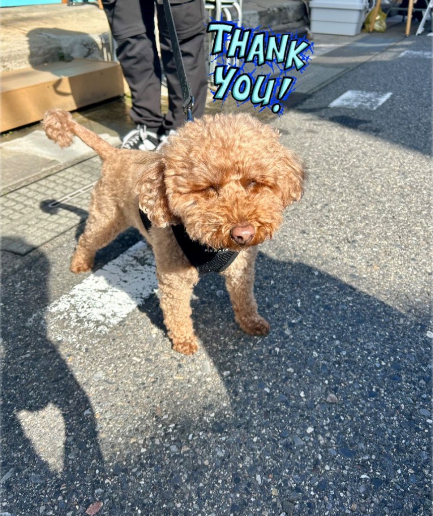 573656438_2158965614511860_6096827782768462045_n