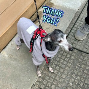 573673993_1160722929335562_3144976331943490811_n