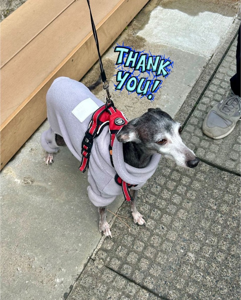 573673993_1160722929335562_3144976331943490811_n