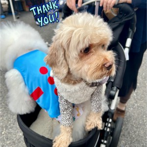 574031445_725035957283075_3097342893372198899_n