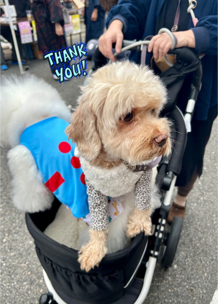 574031445_725035957283075_3097342893372198899_n