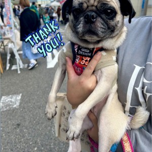 574035634_1402918934589576_7434468211503730656_n