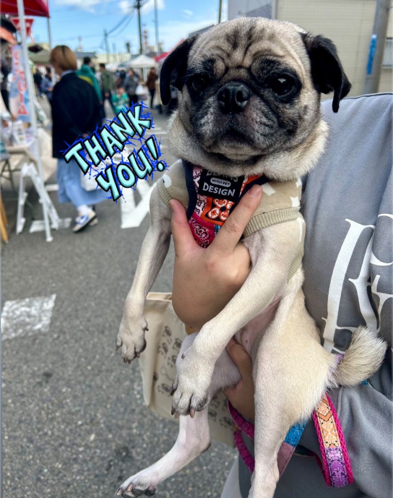 574035634_1402918934589576_7434468211503730656_n