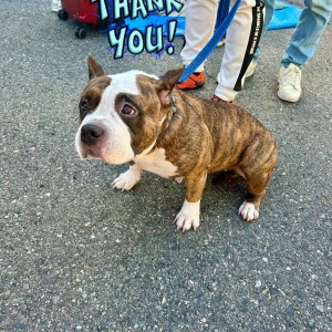 574086552_4420831304815092_5581118237688162941_n