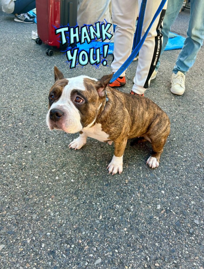 574086552_4420831304815092_5581118237688162941_n