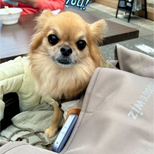 574911974_834288139093583_2363702322426222616_n