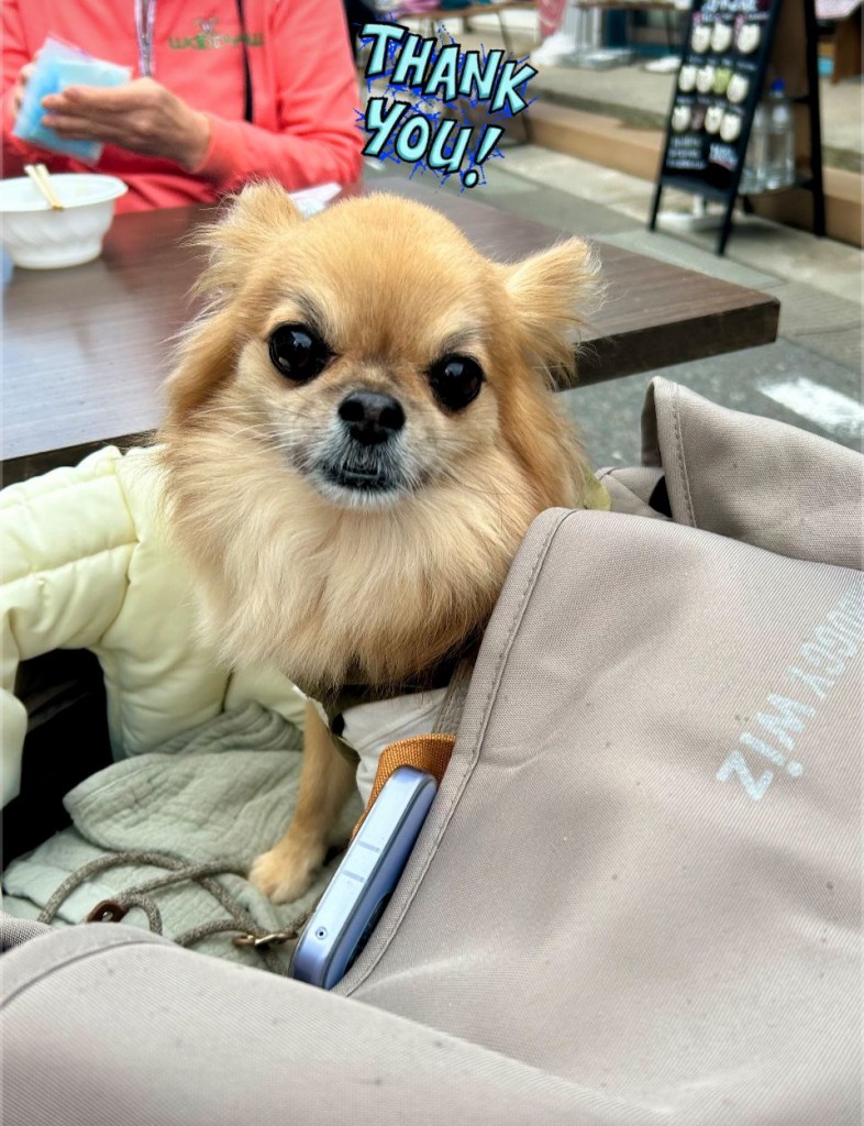 574911974_834288139093583_2363702322426222616_n