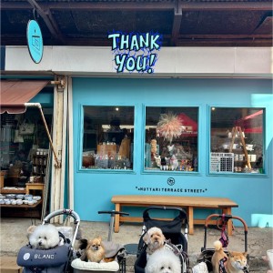 574918100_1430859821934423_2463194137775592854_n