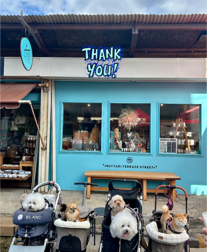 574918100_1430859821934423_2463194137775592854_n