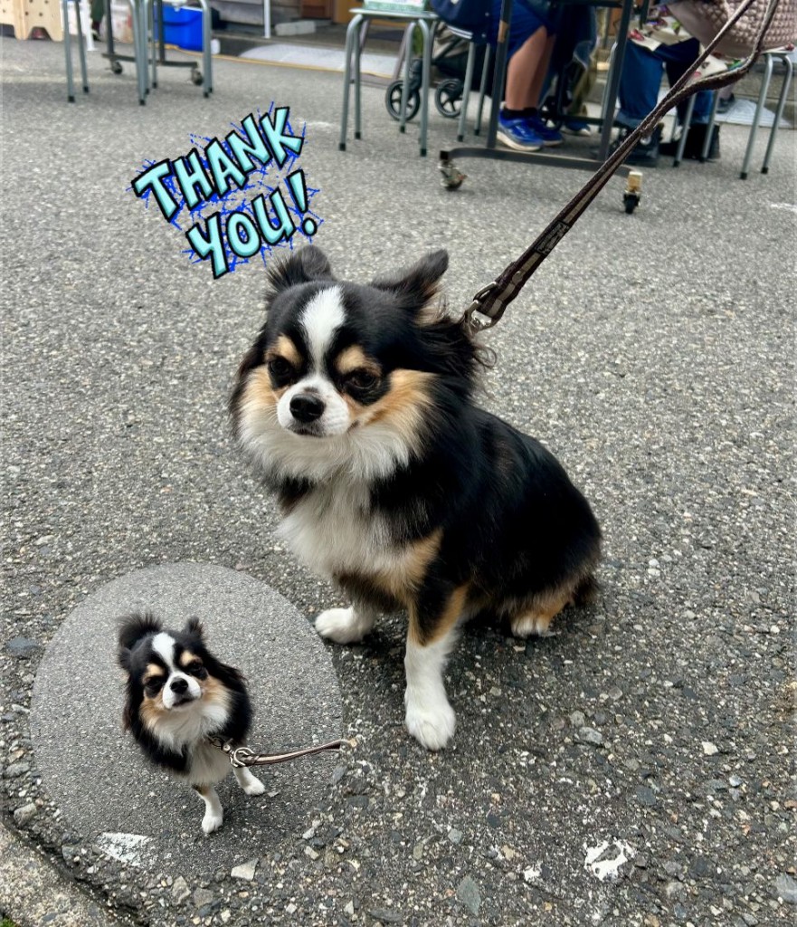 574988669_1470118234289744_6117435090485485652_n