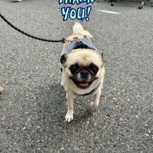 575124782_818494591065239_1957867354866117851_n