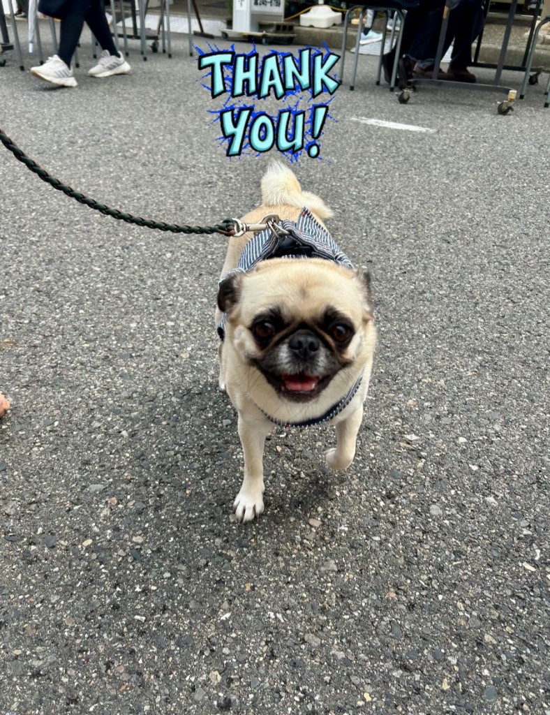 575124782_818494591065239_1957867354866117851_n