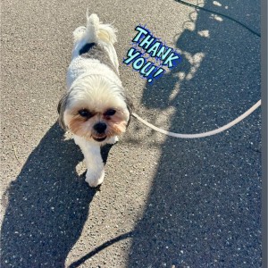 575384987_1155630523432396_5252108501172521537_n