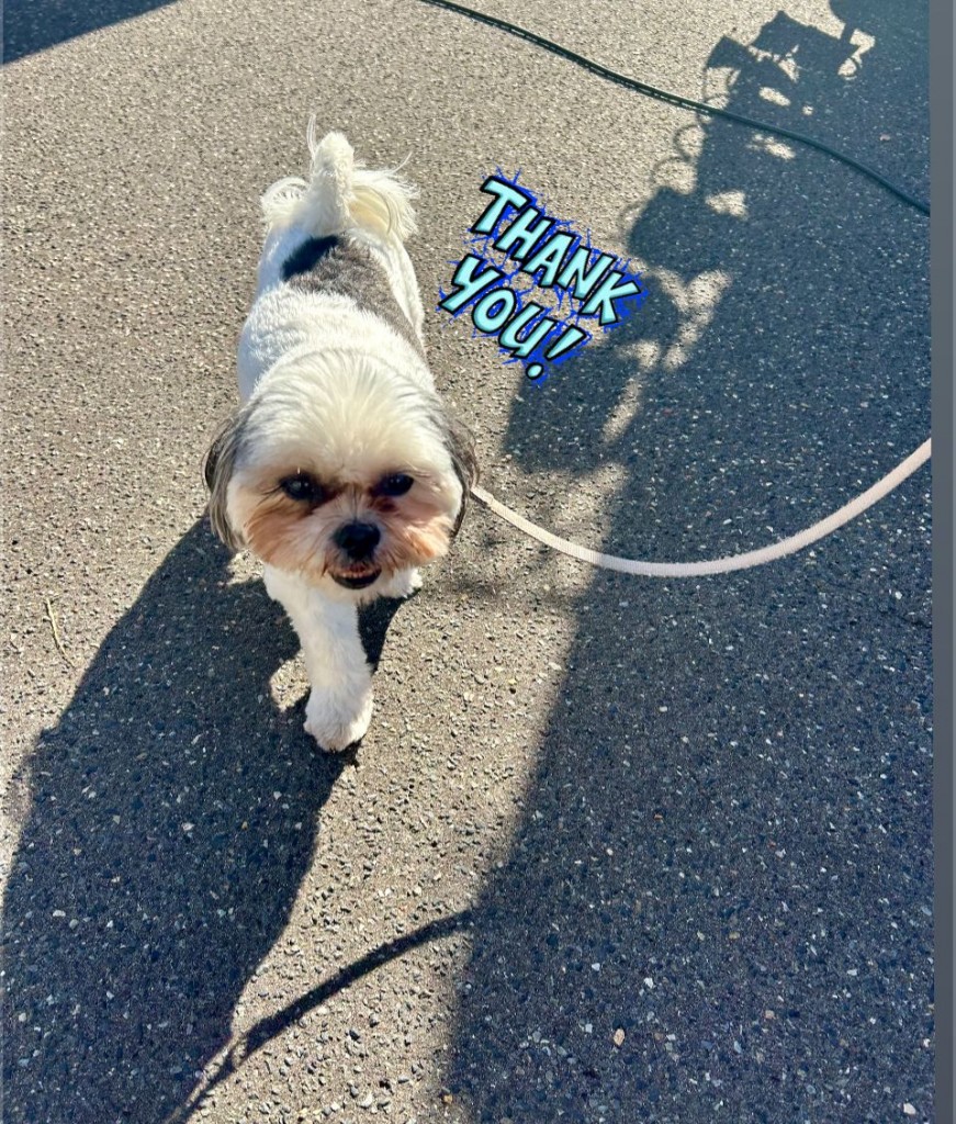 575384987_1155630523432396_5252108501172521537_n