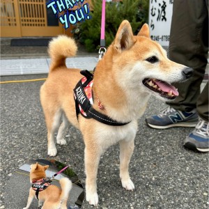 575723695_4312950542261719_4381596801900745357_n