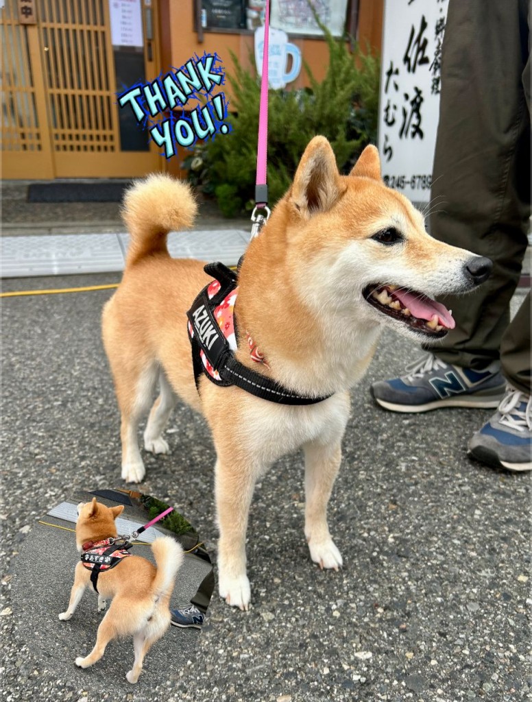 575723695_4312950542261719_4381596801900745357_n