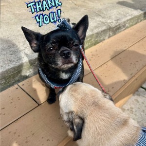 575734832_845055002033013_8878469074091590005_n