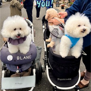 575743486_840243668552508_1544006521251568994_n