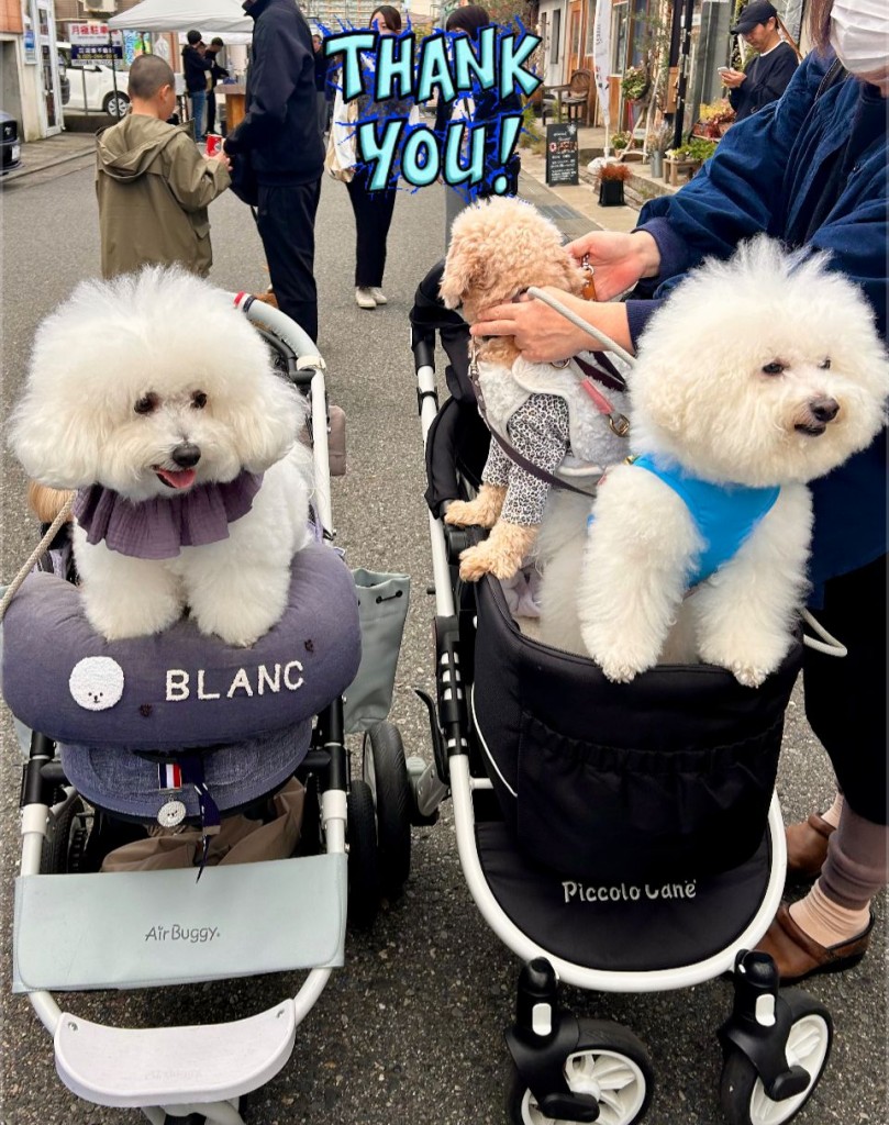 575743486_840243668552508_1544006521251568994_n