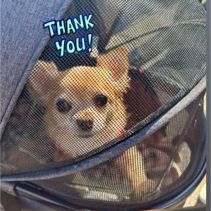 575916830_1482481039705511_7360096655338660848_n