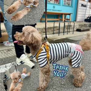 575916830_1545312876599670_2841165382437579981_n