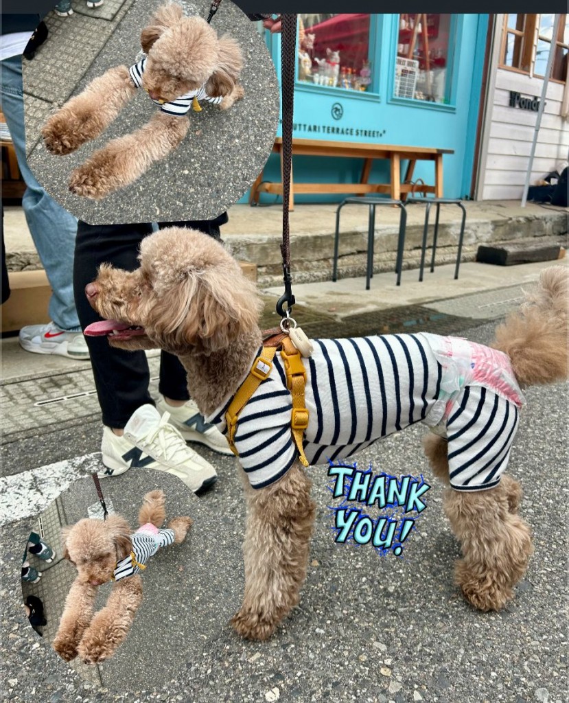 575916830_1545312876599670_2841165382437579981_n