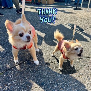 576808894_1236130324940180_873014692179564819_n