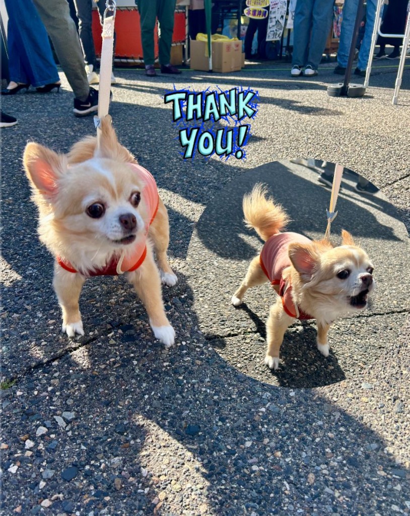 576808894_1236130324940180_873014692179564819_n