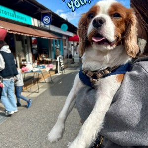 577015055_722651010846275_975468905426614167_n