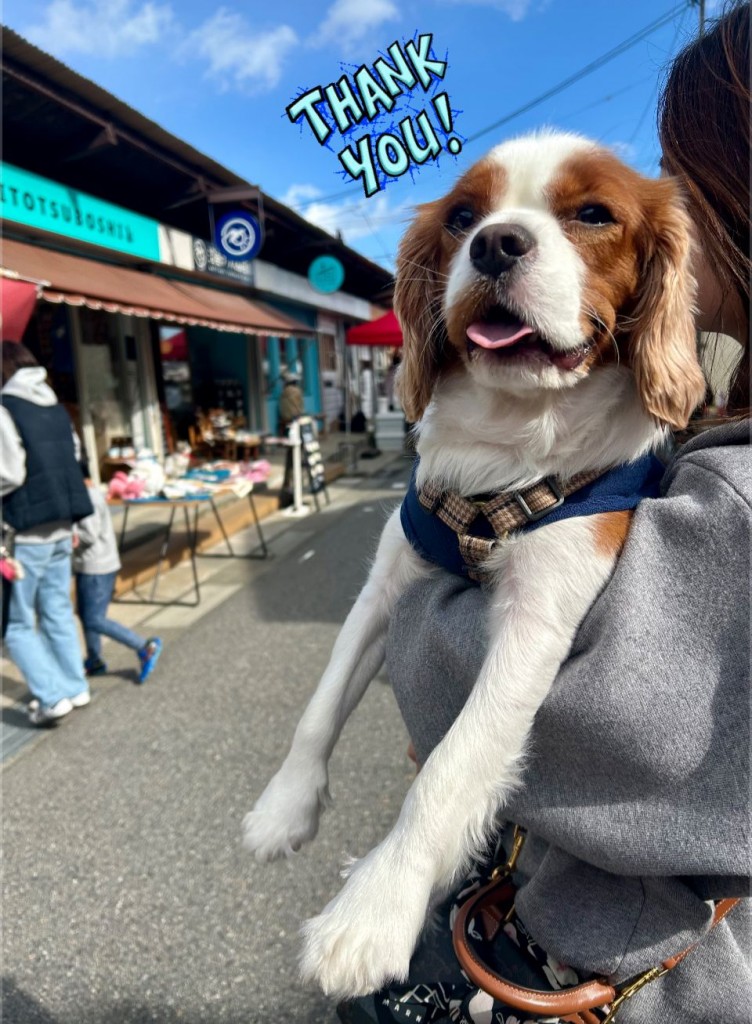 577015055_722651010846275_975468905426614167_n