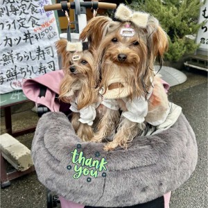 591419921_893555859767140_7685688963418027839_n