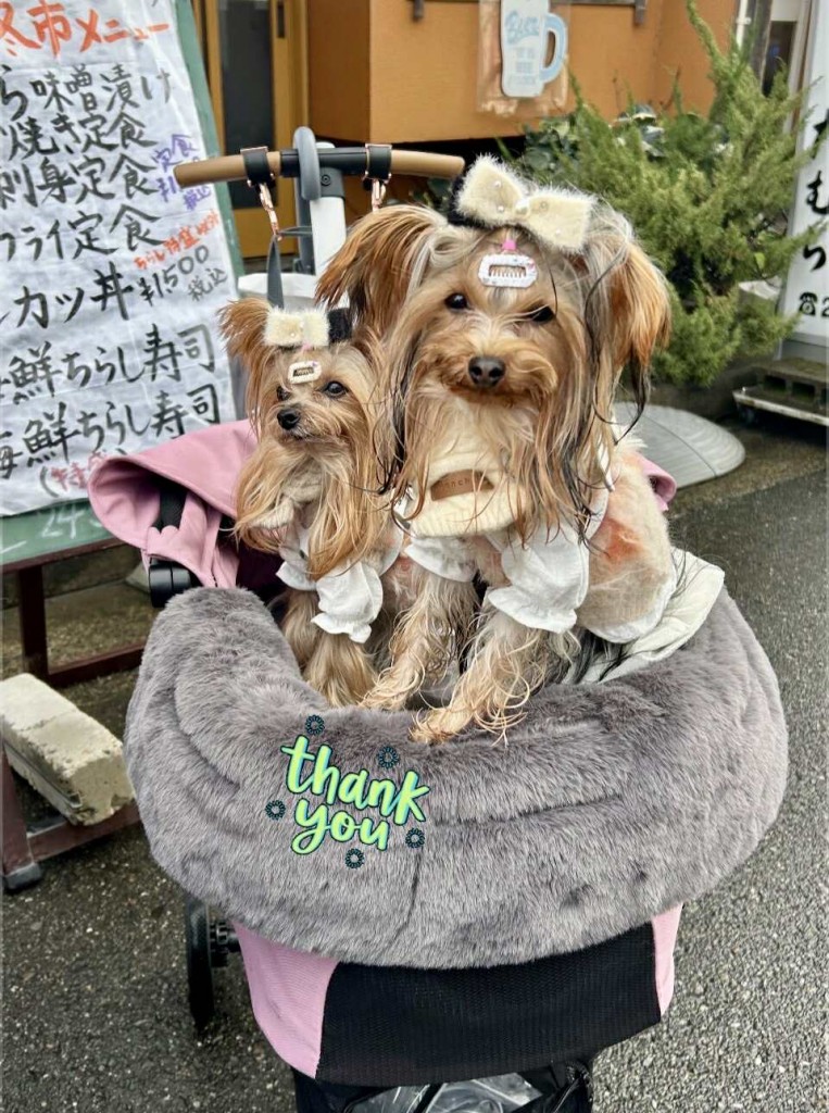 591419921_893555859767140_7685688963418027839_n