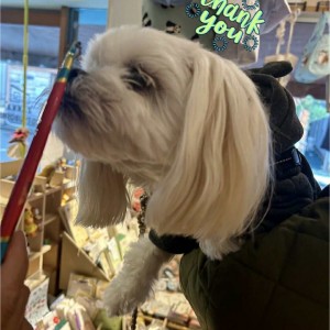 591496491_25203795475939498_2639692267557586234_n