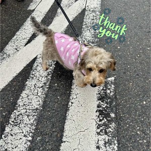 591624886_1882107969180023_4811384644950342814_n