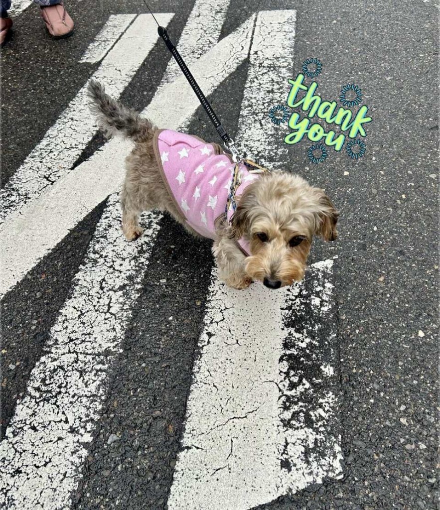 591624886_1882107969180023_4811384644950342814_n