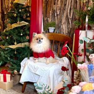 592039606_1387326259594655_9009902098328673880_n