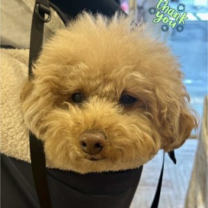 594411538_2075862633254285_4123779091892859926_n