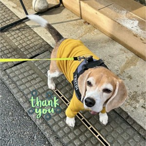 594492878_1423067049207398_8403775552680408903_n