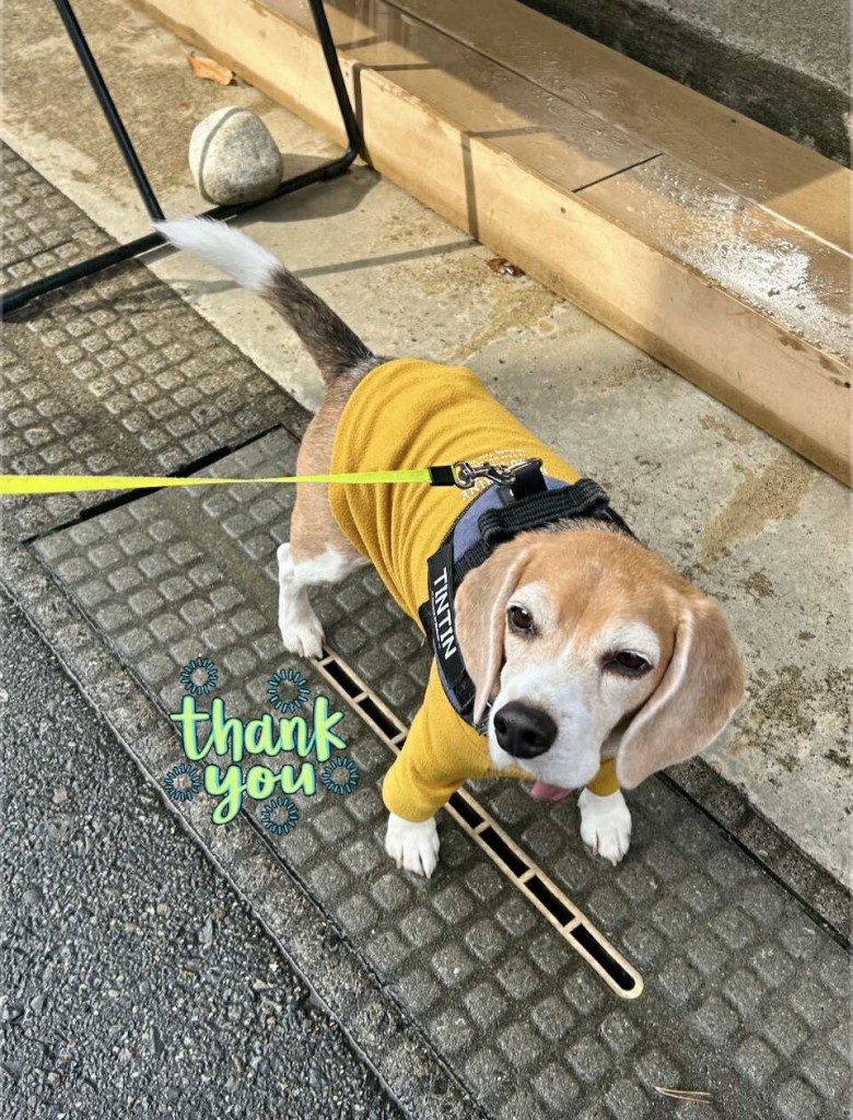 594492878_1423067049207398_8403775552680408903_n